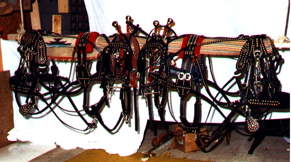 Welsh size Draft Harness