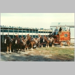 Circust Parade Wagon