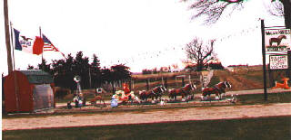 Vicker Pony Farm Entrance